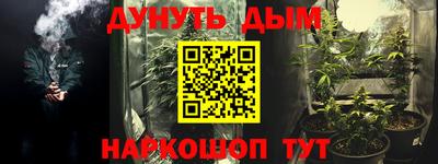 стаф Новодвинск