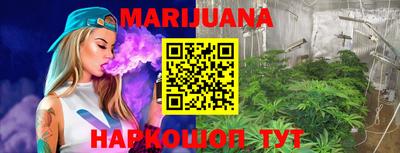 стаф Новодвинск