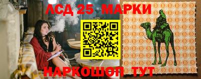 стаф Новодвинск
